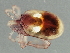  ( - CNC-IMS090093.063)  @13 [ ] CreativeCommons - Attribution (2010) CBG Photography Group Centre for Biodiversity Genomics
