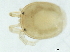  ( - CNC-IMS090097.061)  @11 [ ] CreativeCommons - Attribution (2010) CBG Photography Group Centre for Biodiversity Genomics
