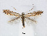  ( - RMNH.5007943)  @15 [ ] CreativeCommons - Attribution Non-Commercial Share-Alike (2015) Unspecified Naturalis Biodiversity Centre