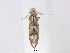  ( - RMNH.5013730)  @12 [ ] CreativeCommons - Attribution Non-Commercial Share-Alike (2015) Unspecified Naturalis Biodiversity Centre
