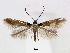  ( - RMNH.INS.544308)  @11 [ ] CreativeCommons - Attribution Non-Commercial Share-Alike (2015) Unspecified Naturalis Biodiversity Centre