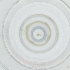  ( - WOXF_018_E7)  @11 [ ] by  Genome Research Ltd as Wellcome Sanger Institute Genome Research Limited operating as Wellcome Sanger Institute