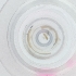  (CecidIntGen - WOXF_021_H11)  @11 [ ] by  Genome Research Ltd as Wellcome Sanger Institute Genome Research Limited operating as Wellcome Sanger Institute