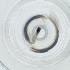  ( - WOXF_022_A8)  @11 [ ] by  Genome Research Ltd as Wellcome Sanger Institute Genome Research Limited operating as Wellcome Sanger Institute