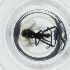  (Rhamphomyia atra - WOXF_022_G5)  @11 [ ] by  Genome Research Ltd as Wellcome Sanger Institute Genome Research Limited operating as Wellcome Sanger Institute