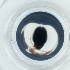  ( - WOXF_023_B1)  @11 [ ] by  Genome Research Ltd as Wellcome Sanger Institute Genome Research Limited operating as Wellcome Sanger Institute