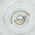  ( - WOXF_023_B3)  @11 [ ] by  Genome Research Ltd as Wellcome Sanger Institute Genome Research Limited operating as Wellcome Sanger Institute