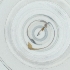  ( - WOXF_024_E3)  @11 [ ] by  Genome Research Ltd as Wellcome Sanger Institute Genome Research Limited operating as Wellcome Sanger Institute