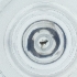  ( - WOXF_025_F3)  @11 [ ] by  Genome Research Ltd as Wellcome Sanger Institute Genome Research Limited operating as Wellcome Sanger Institute