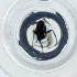 ( - WOXF_030_A12)  @11 [ ] by  Genome Research Ltd as Wellcome Sanger Institute Genome Research Limited operating as Wellcome Sanger Institute