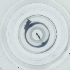  ( - WOXF_030_C2)  @11 [ ] by  Genome Research Ltd as Wellcome Sanger Institute Genome Research Limited operating as Wellcome Sanger Institute