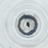  ( - WOXF_031_B8)  @11 [ ] by  Genome Research Ltd as Wellcome Sanger Institute Genome Research Limited operating as Wellcome Sanger Institute