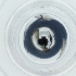  ( - WOXF_031_D8)  @11 [ ] by  Genome Research Ltd as Wellcome Sanger Institute Genome Research Limited operating as Wellcome Sanger Institute
