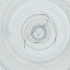  ( - WOXF_032_B5)  @11 [ ] by  Genome Research Ltd as Wellcome Sanger Institute Genome Research Limited operating as Wellcome Sanger Institute