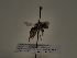  ( - TJW_225)  @11 [ ] nrr (2021) Unspecified Thomas Wood