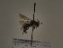  ( - TJW_256)  @11 [ ] nrr (2021) Unspecified Thomas Wood