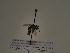  ( - TJW_369)  @11 [ ] nrr (2021) Unspecified Thomas Wood