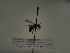  ( - TJW_517)  @11 [ ] nrr (2021) Unspecified Thomas Wood