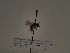  ( - TJW_542)  @11 [ ] nrr (2021) Unspecified Thomas Wood