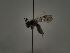  ( - TJW_556)  @11 [ ] nrr (2021) Unspecified Thomas Wood