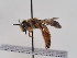  ( - TJW_578)  @11 [ ] nrr (2022) Unspecified Thomas Wood