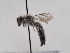  ( - TJW_587)  @11 [ ] nrr (2022) Unspecified Thomas Wood