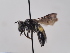  ( - TJW_623)  @11 [ ] nrr (2022) Unspecified Thomas Wood
