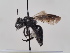  ( - TJW_625)  @11 [ ] nrr (2022) Unspecified Thomas Wood