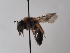  ( - TJW_729)  @11 [ ] nrr (2022) Unspecified Thomas Wood