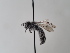  ( - TJW_751)  @11 [ ] nrr (2022) Unspecified Thomas Wood
