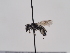  ( - TJW_823)  @11 [ ] nrr (2022) Unspecified Thomas Wood