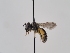  ( - TJW_890)  @11 [ ] nrr (2022) Unspecified Thomas Wood