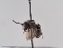  ( - TJW_893)  @11 [ ] nrr (2022) Unspecified Thomas Wood