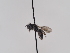  ( - TJW_911)  @11 [ ] nrr (2022) Unspecified Thomas Wood