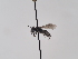  ( - TJW_912)  @11 [ ] nrr (2022) Unspecified Thomas Wood