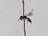  ( - TJW_913)  @11 [ ] nrr (2022) Unspecified Thomas Wood