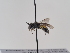  ( - TJW_917)  @11 [ ] nrr (2022) Unspecified Thomas Wood