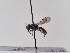  ( - TJW_918)  @11 [ ] nrr (2022) Unspecified Thomas Wood