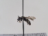 ( - TJW_919)  @11 [ ] nrr (2022) Unspecified Thomas Wood