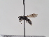  ( - TJW_921)  @11 [ ] nrr (2022) Unspecified Thomas Wood