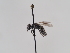  ( - TJW_924)  @11 [ ] nrr (2022) Unspecified Thomas Wood