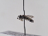  ( - TJW_930)  @11 [ ] nrr (2022) Unspecified Thomas Wood