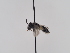  ( - TJW_932)  @11 [ ] nrr (2022) Unspecified Thomas Wood