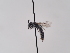  ( - TJW_935)  @11 [ ] nrr (2022) Unspecified Thomas Wood