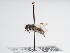  ( - TJW_956)  @11 [ ] nrr (2022) Unspecified Thomas Wood