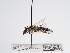  ( - TJW_968)  @11 [ ] nrr (2022) Unspecified Thomas Wood
