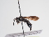  ( - TJW_969)  @11 [ ] nrr (2022) Unspecified Thomas Wood