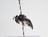  ( - TJW_970)  @11 [ ] nrr (2022) Unspecified Thomas Wood