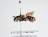  ( - TJW_1000)  @11 [ ] nrr (2022) Unspecified Thomas Wood