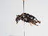  ( - TJW_1124)  @11 [ ] nrr (2022) Unspecified Thomas Wood